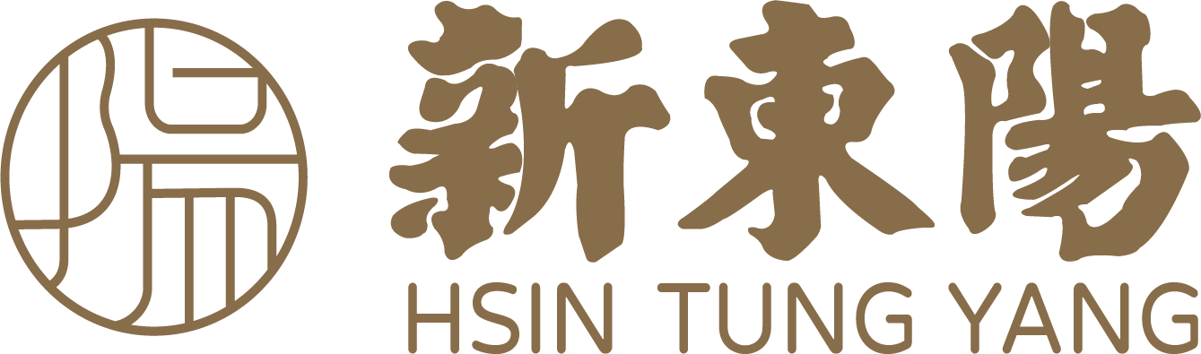 新東陽股份有限公司 LOGO